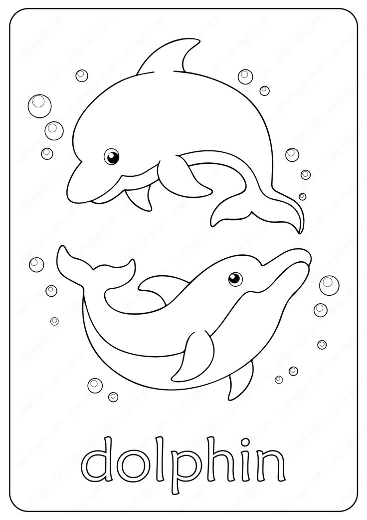 30 Playful Dolphins Coloring Pages Printable 8