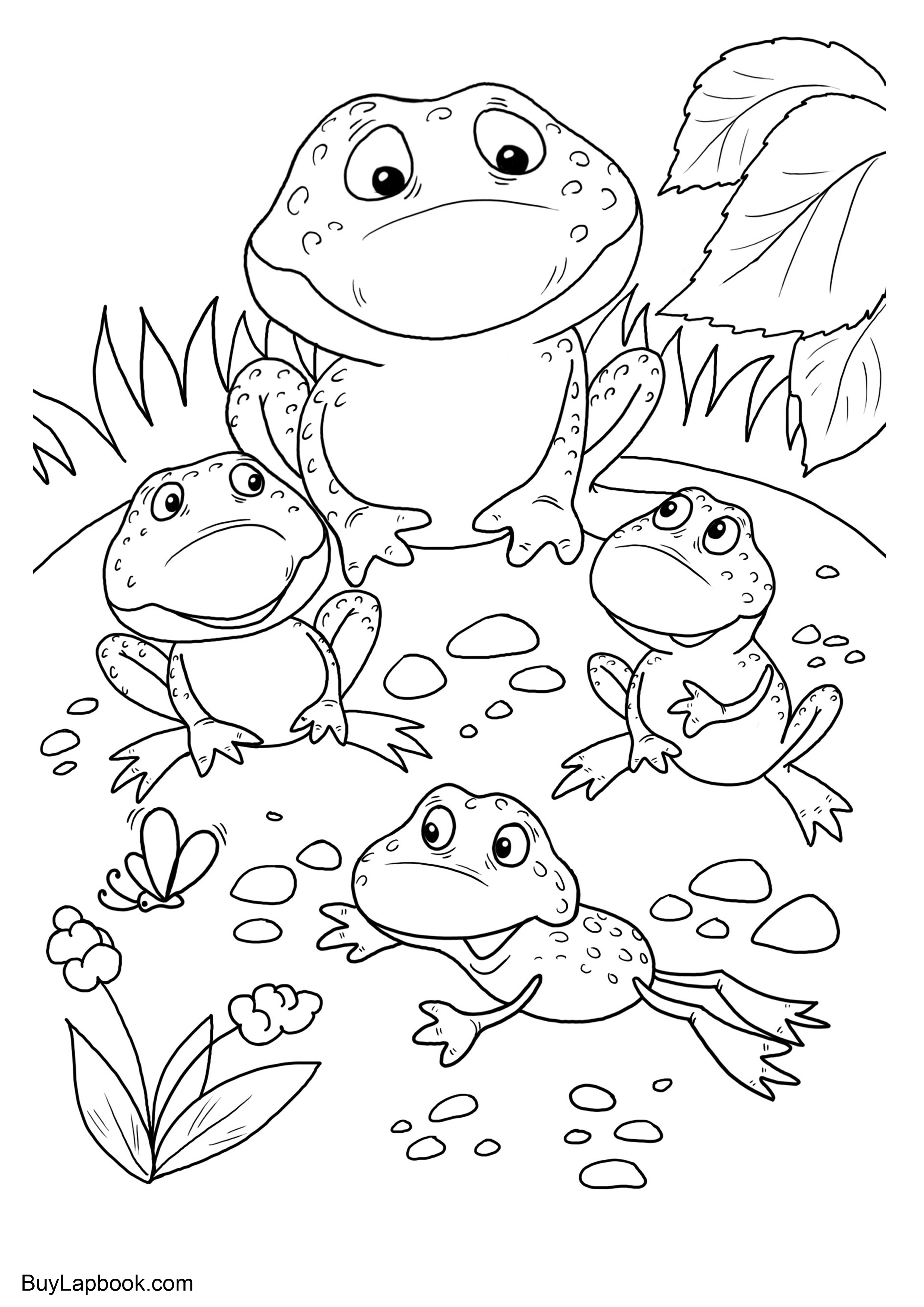 30 Small Frog Coloring Pages Printable 10