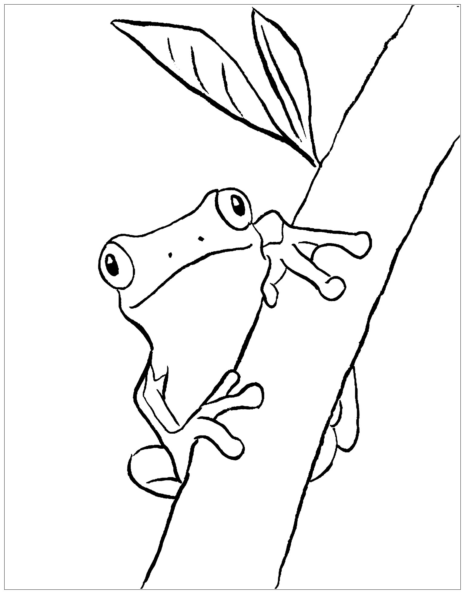 30 Small Frog Coloring Pages Printable 13