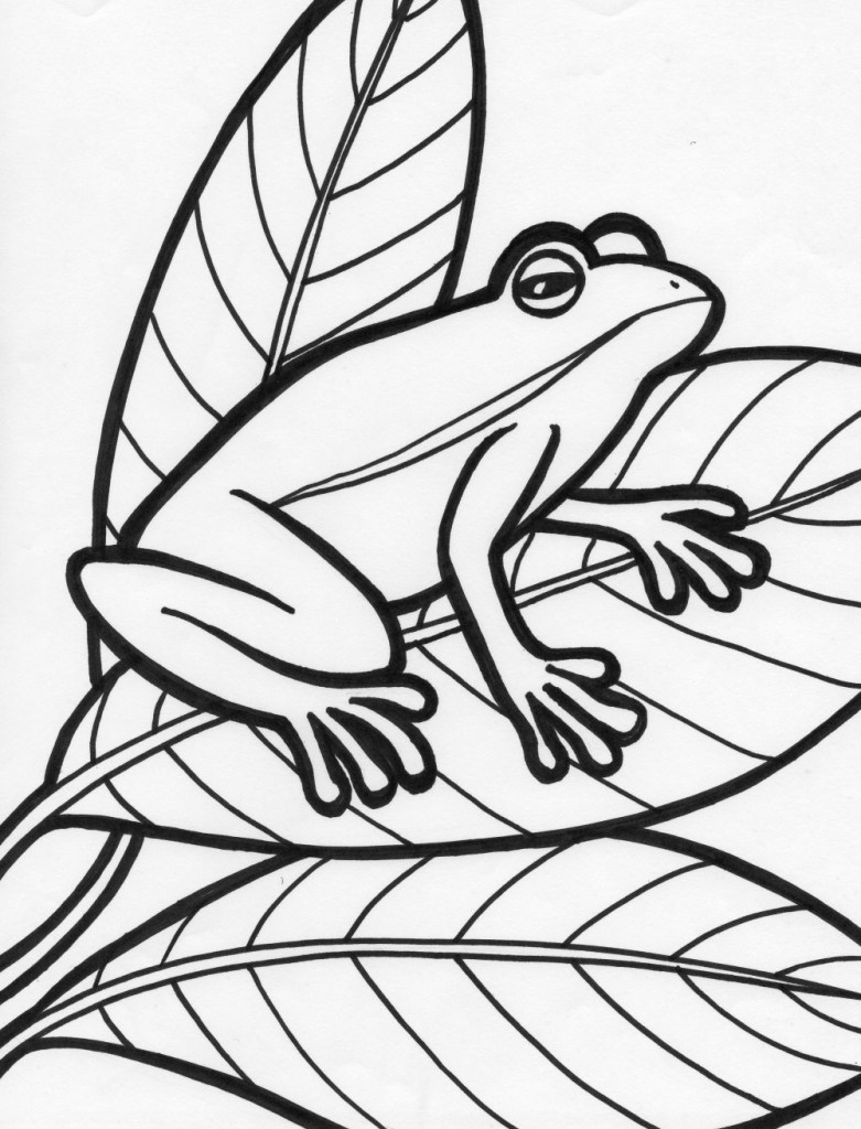 30 Small Frog Coloring Pages Printable 24