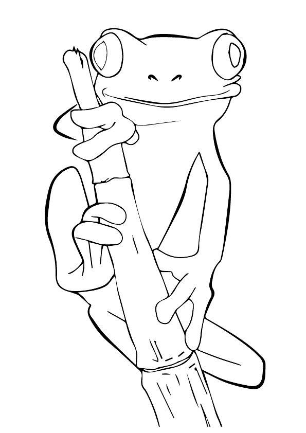 30 Small Frog Coloring Pages Printable 25