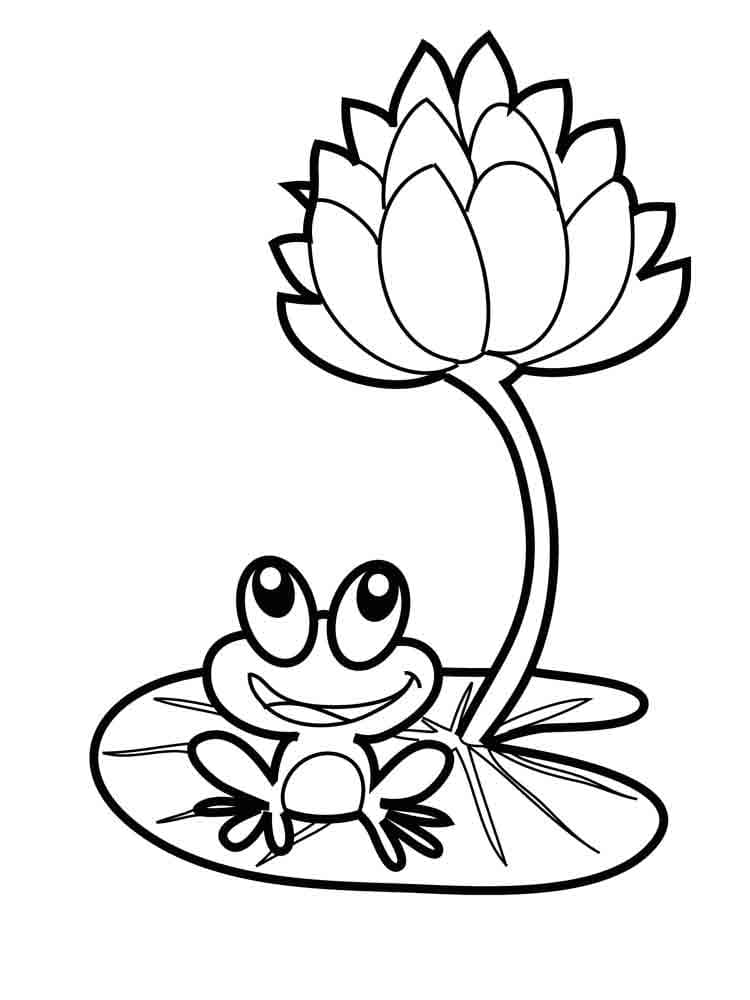 30 Small Frog Coloring Pages Printable 26