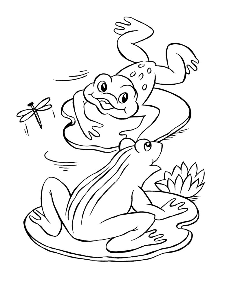 30 Small Frog Coloring Pages Printable 28