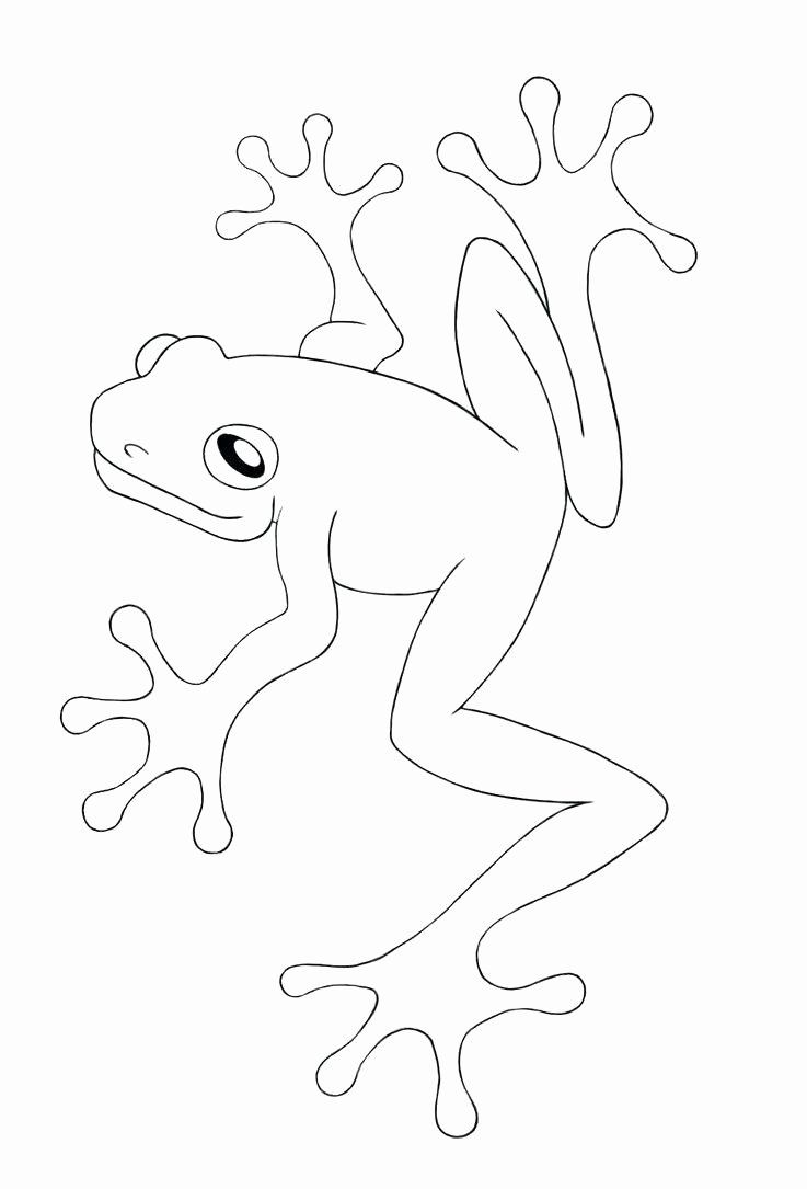 30 Small Frog Coloring Pages Printable 29