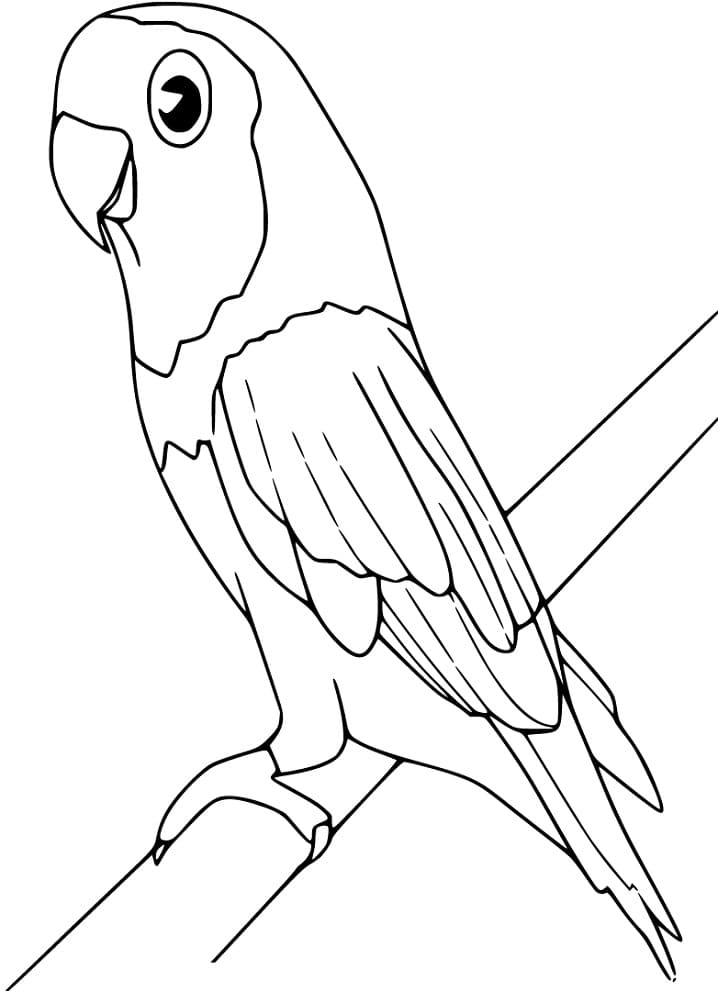 31 Charming Parakeet Coloring Pages Printable 1