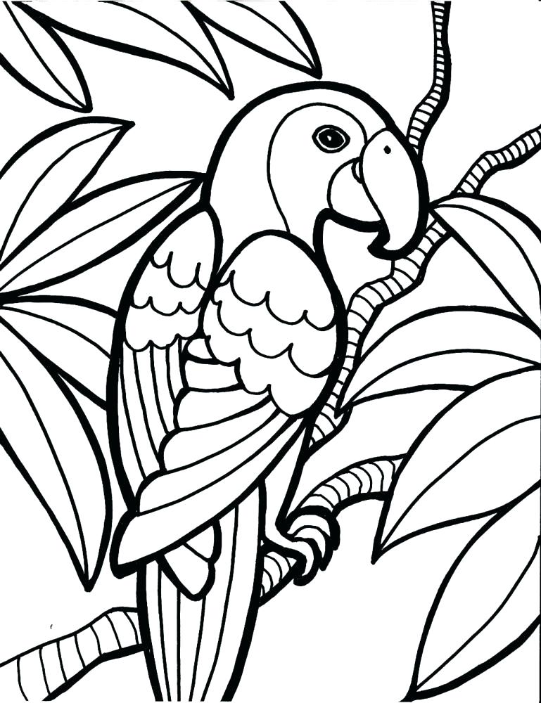 31 Charming Parakeet Coloring Pages Printable 13