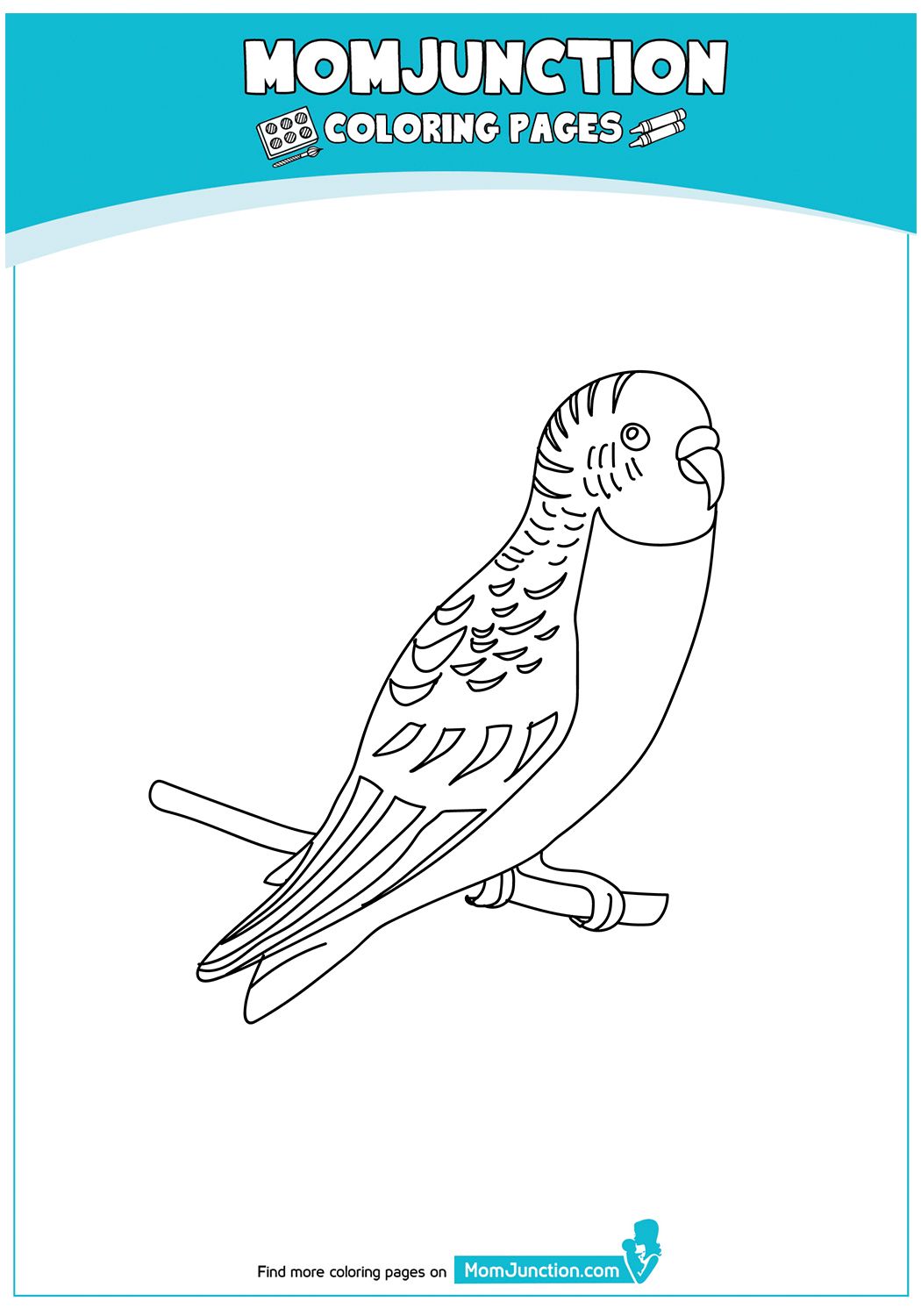 31 Charming Parakeet Coloring Pages Printable 20