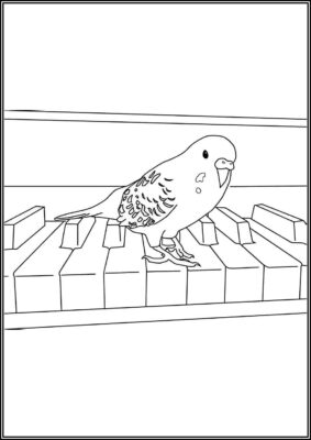 31 Charming Parakeet Coloring Pages Printable 21