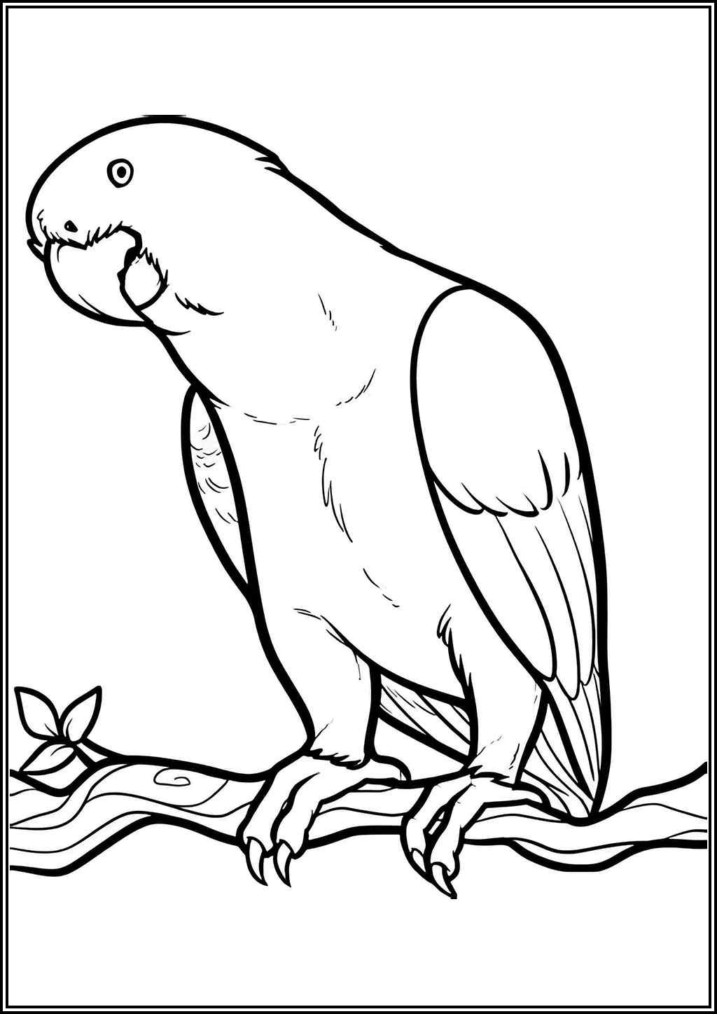 31 Charming Parakeet Coloring Pages Printable 31