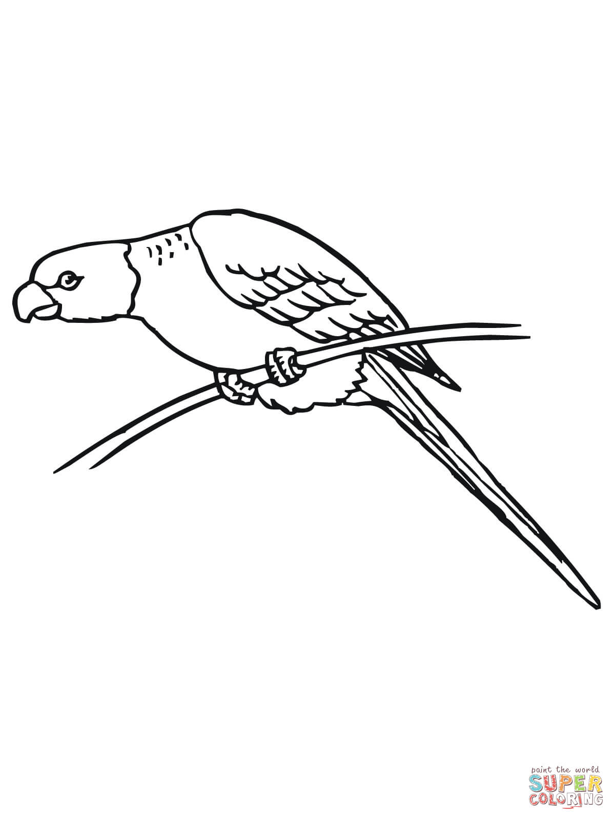 31 Charming Parakeet Coloring Pages Printable 5