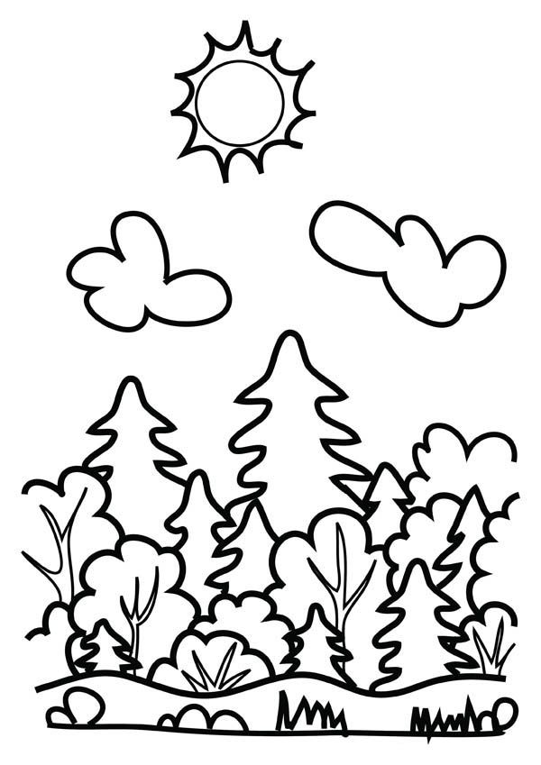 31 Enchanting Forest Coloring Pages Printable 14