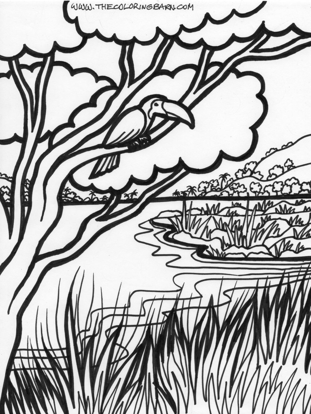 31 Enchanting Forest Coloring Pages Printable 16