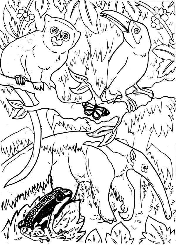 31 Enchanting Forest Coloring Pages Printable 21