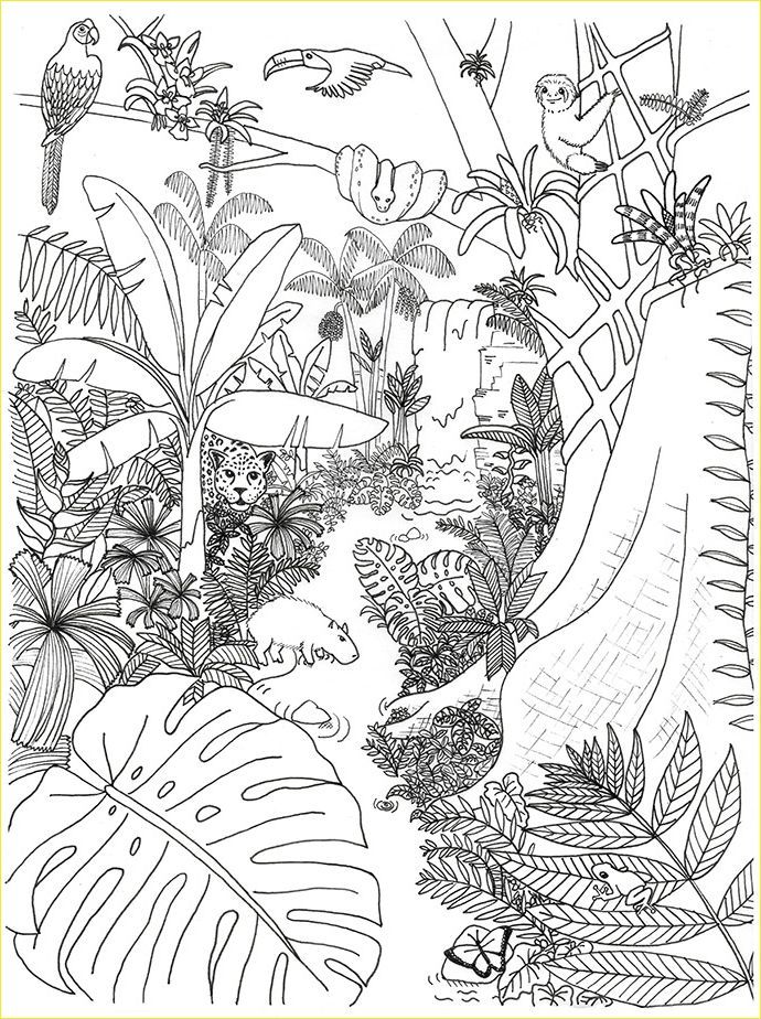 31 Enchanting Forest Coloring Pages Printable 33