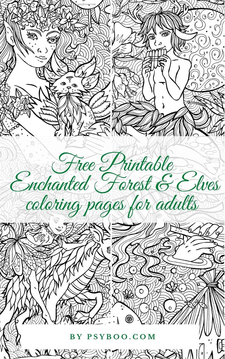 31 Enchanting Forest Coloring Pages Printable 6