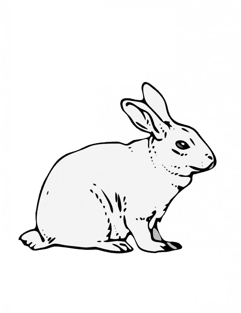 31 Rabbit Coloring Pages To Print Printable 14