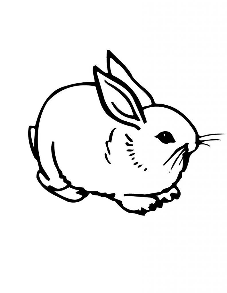 31 Rabbit Coloring Pages To Print Printable 18