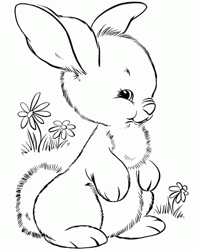 31 Rabbit Coloring Pages To Print Printable 19