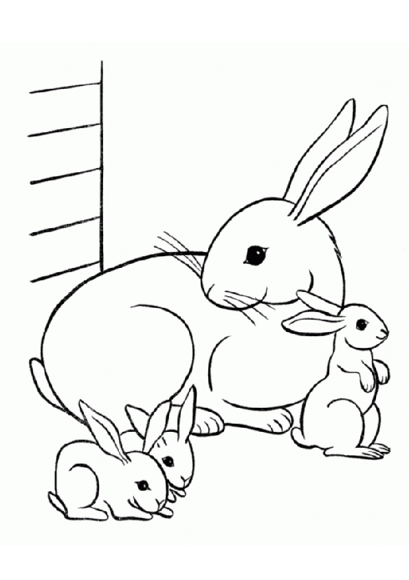 31 Rabbit Coloring Pages To Print Printable 23