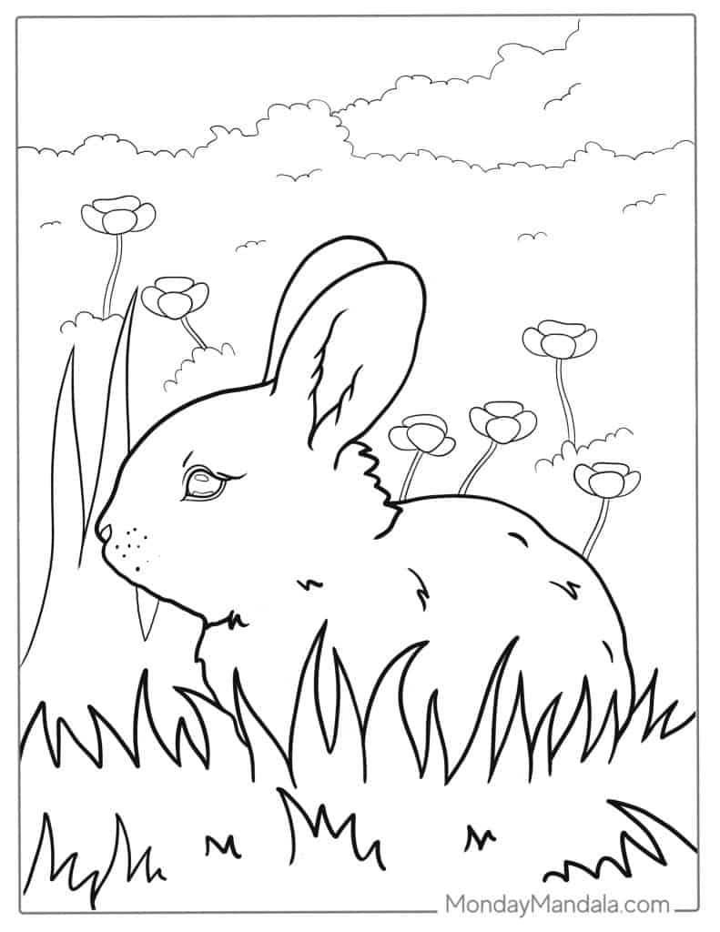 31 Rabbit Coloring Pages To Print Printable 32