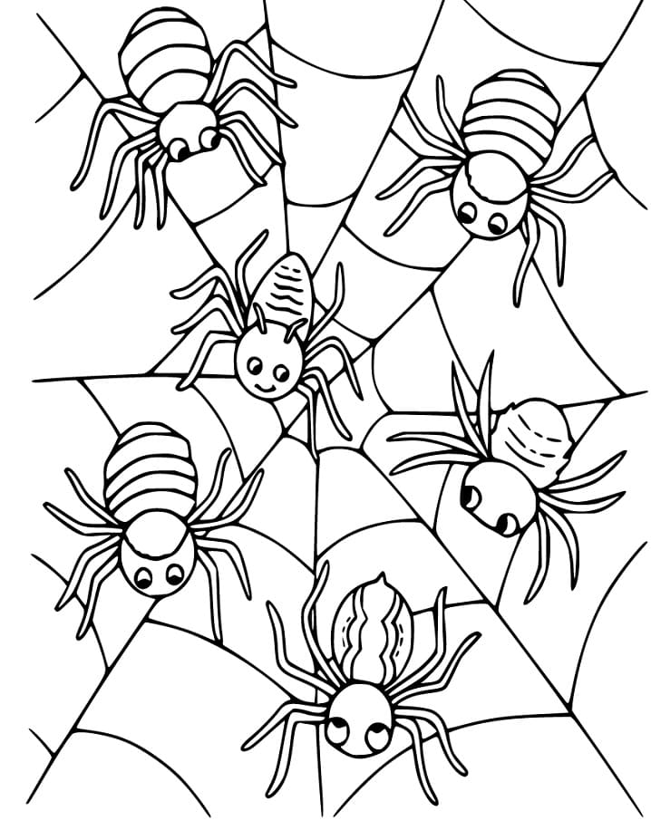 32 Halloween Spiders Coloring Pages Printable 17