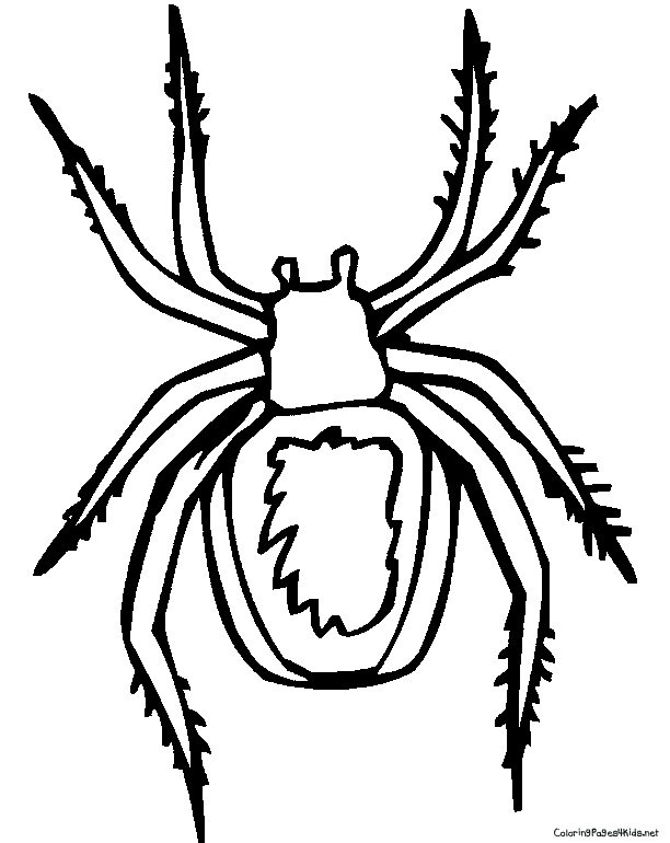 32 Halloween Spiders Coloring Pages Printable 2