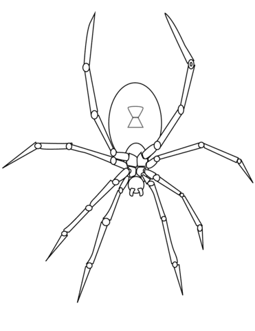 32 Halloween Spiders Coloring Pages Printable 23