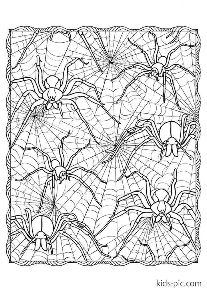 32 Halloween Spiders Coloring Pages Printable 9