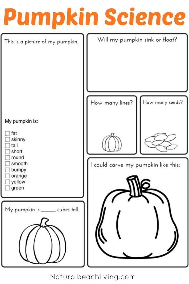 32 Pumpkin Coloring Pages for Kids Printable 20