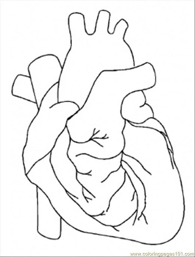 33 Detailed Heart Coloring Pages Printable 24