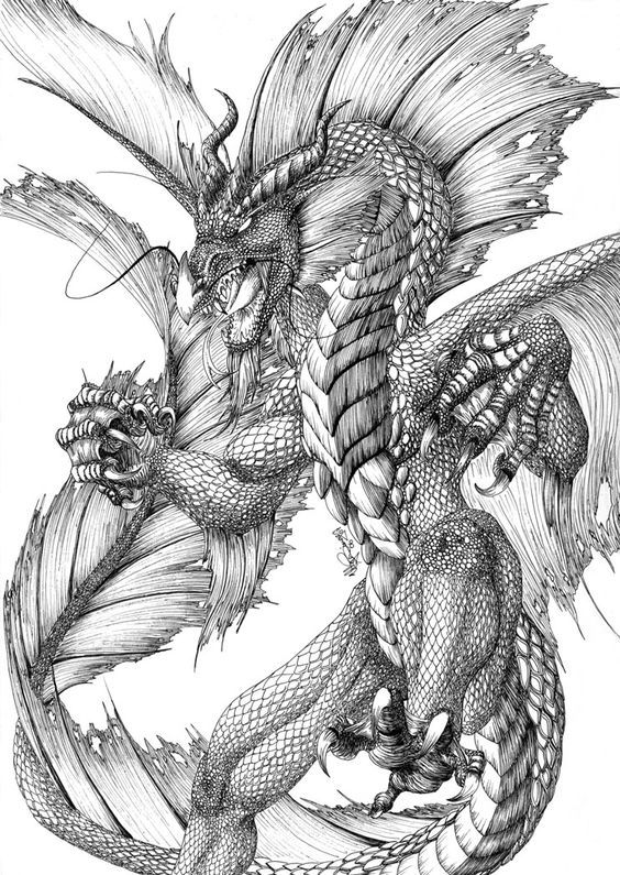 33 Fantasy Water Dragon Coloring Pages Printable 2