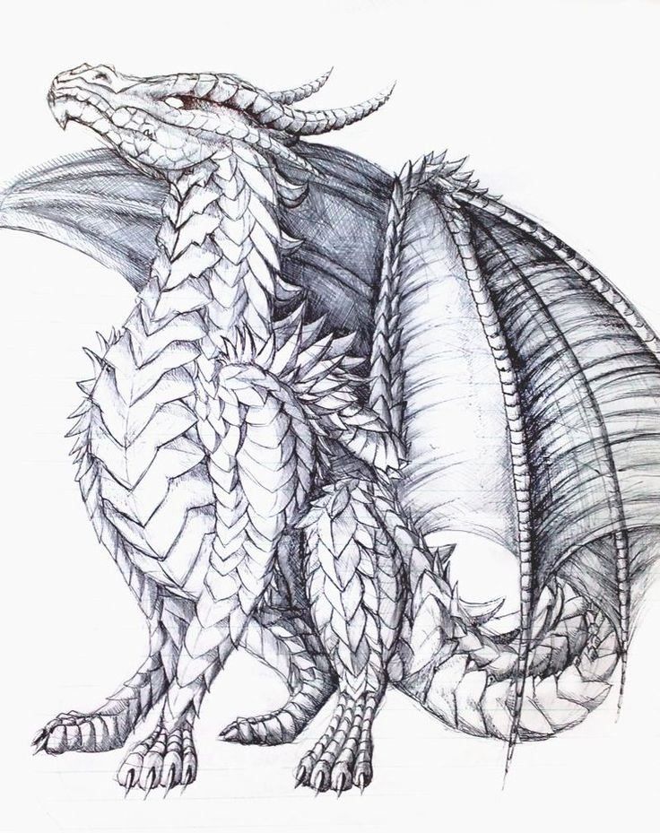 33 Fantasy Water Dragon Coloring Pages Printable 22