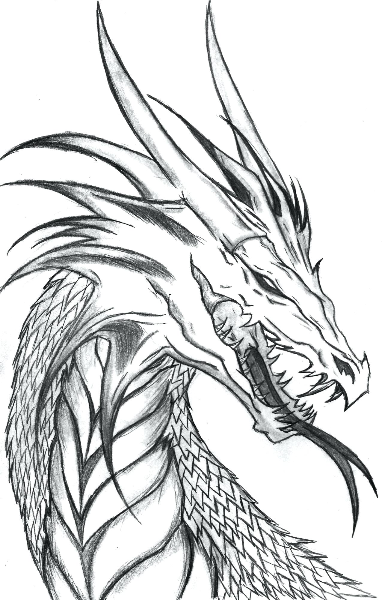 33 Fantasy Water Dragon Coloring Pages Printable 25