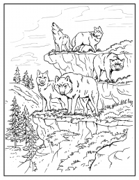 33 Fierce Wolf Coloring Pages Printable 12