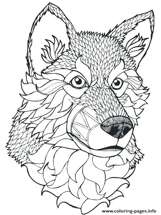 33 Fierce Wolf Coloring Pages Printable 14