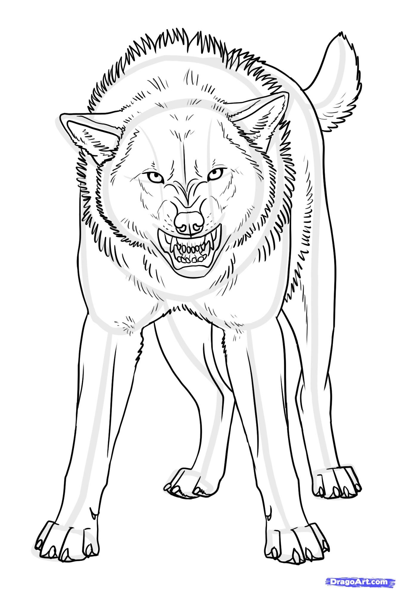 33 Fierce Wolf Coloring Pages Printable 6