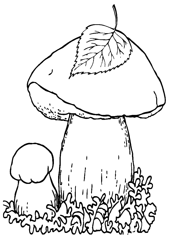 33 Mushroom Coloring Pages Printable 10