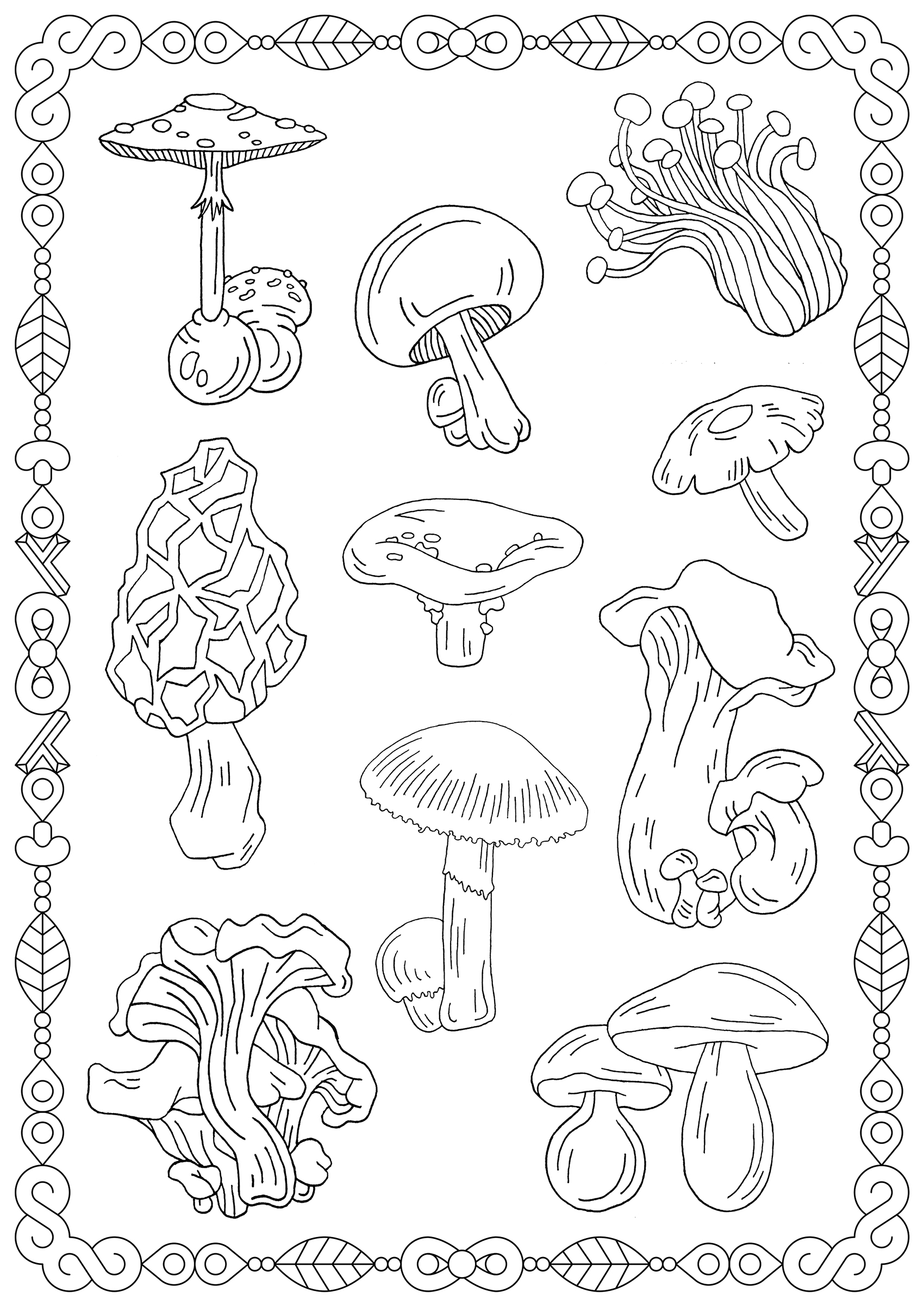 33 Mushroom Coloring Pages Printable 15