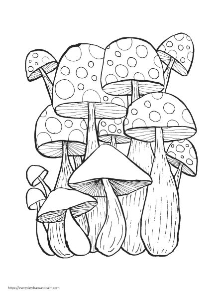 33 Mushroom Coloring Pages Printable 18