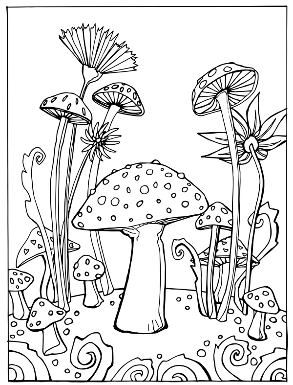 33 Mushroom Coloring Pages Printable 24