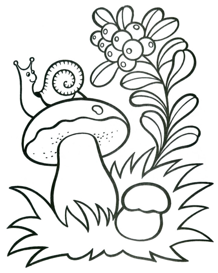 33 Mushroom Coloring Pages Printable 28