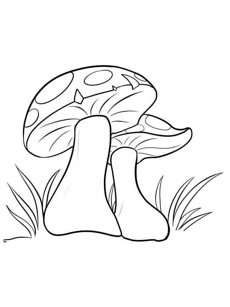 33 Mushroom Coloring Pages Printable 31