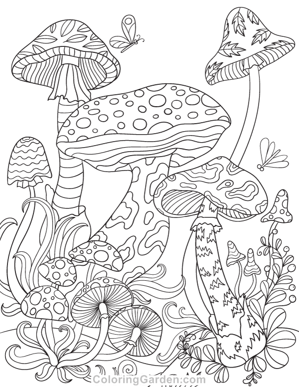 33 Mushroom Coloring Pages Printable 6