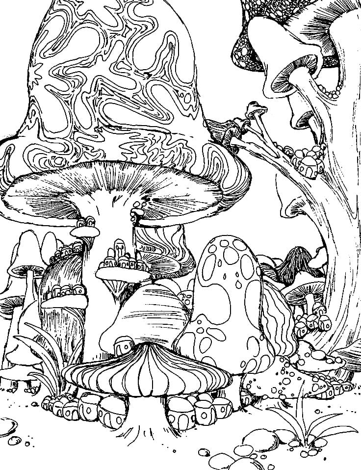 33 Mushroom Coloring Pages Printable 8