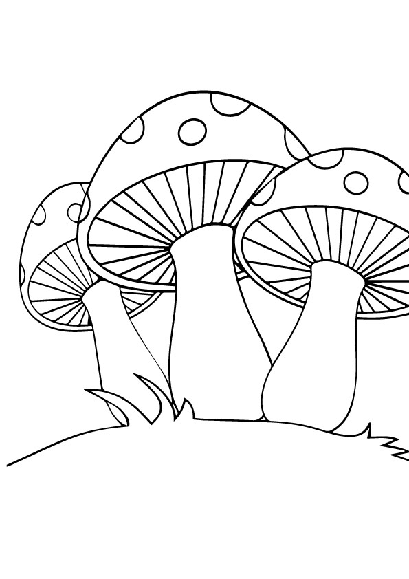 33 Mushroom Coloring Pages Printable 9