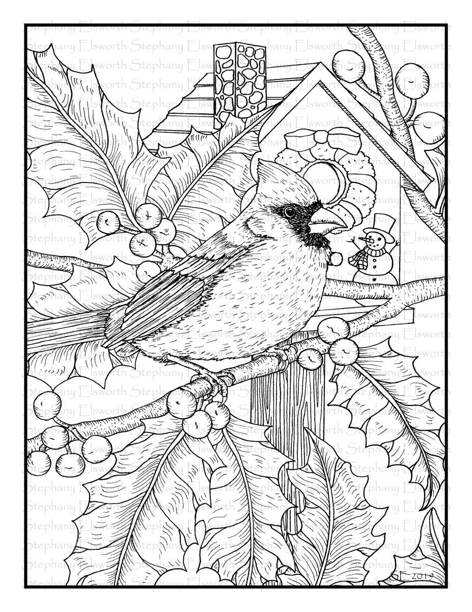 33 Stunning Northern Cardinal Coloring Pages Printable 19