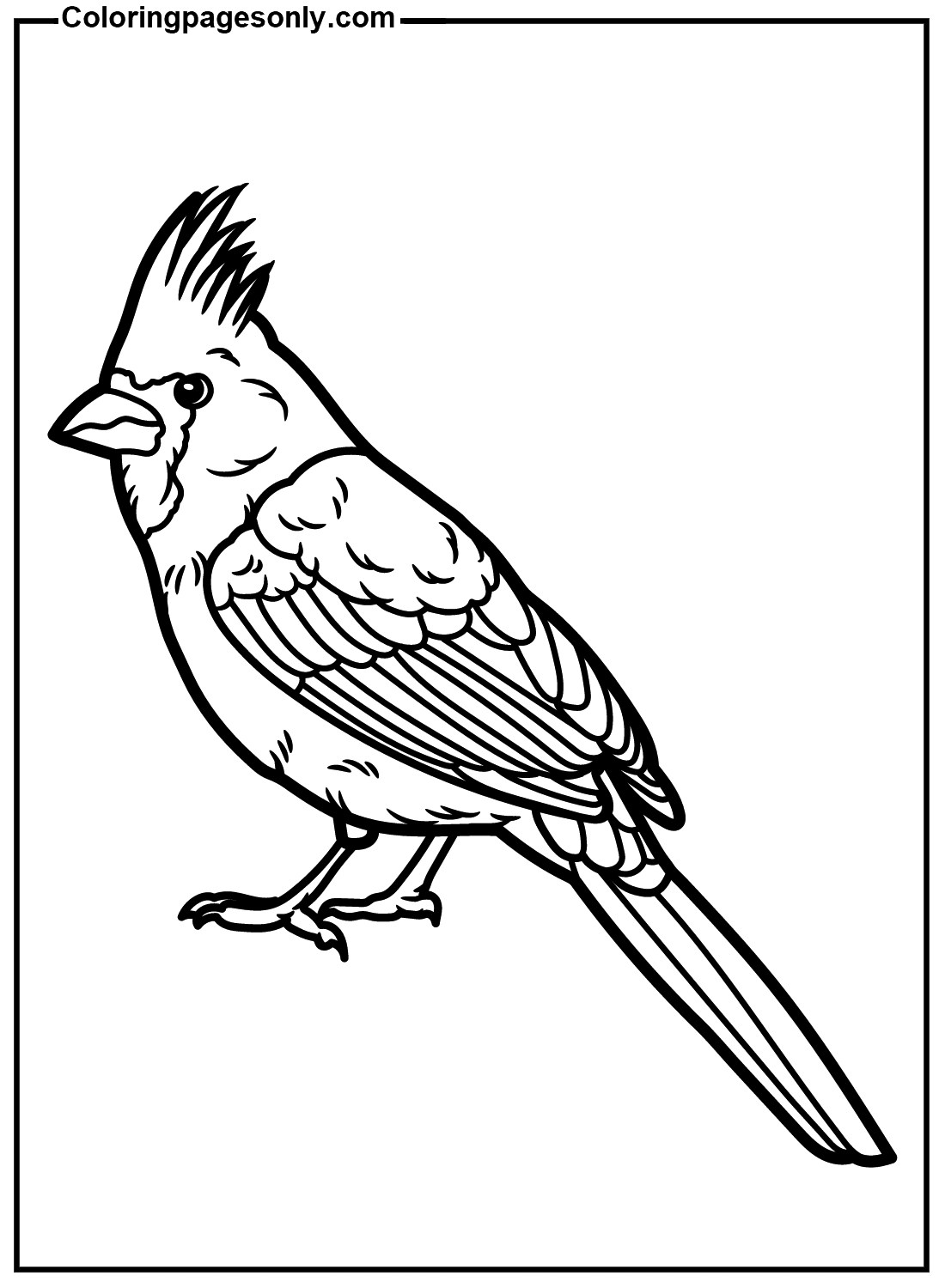 33 Stunning Northern Cardinal Coloring Pages Printable 2