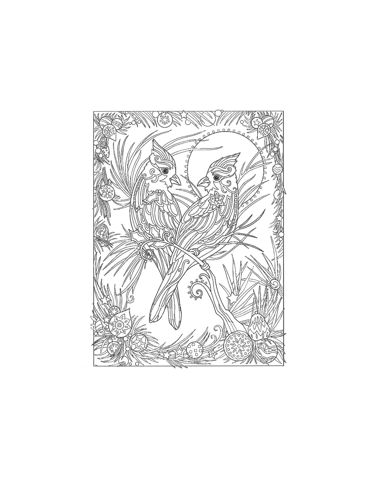 33 Stunning Northern Cardinal Coloring Pages Printable 23