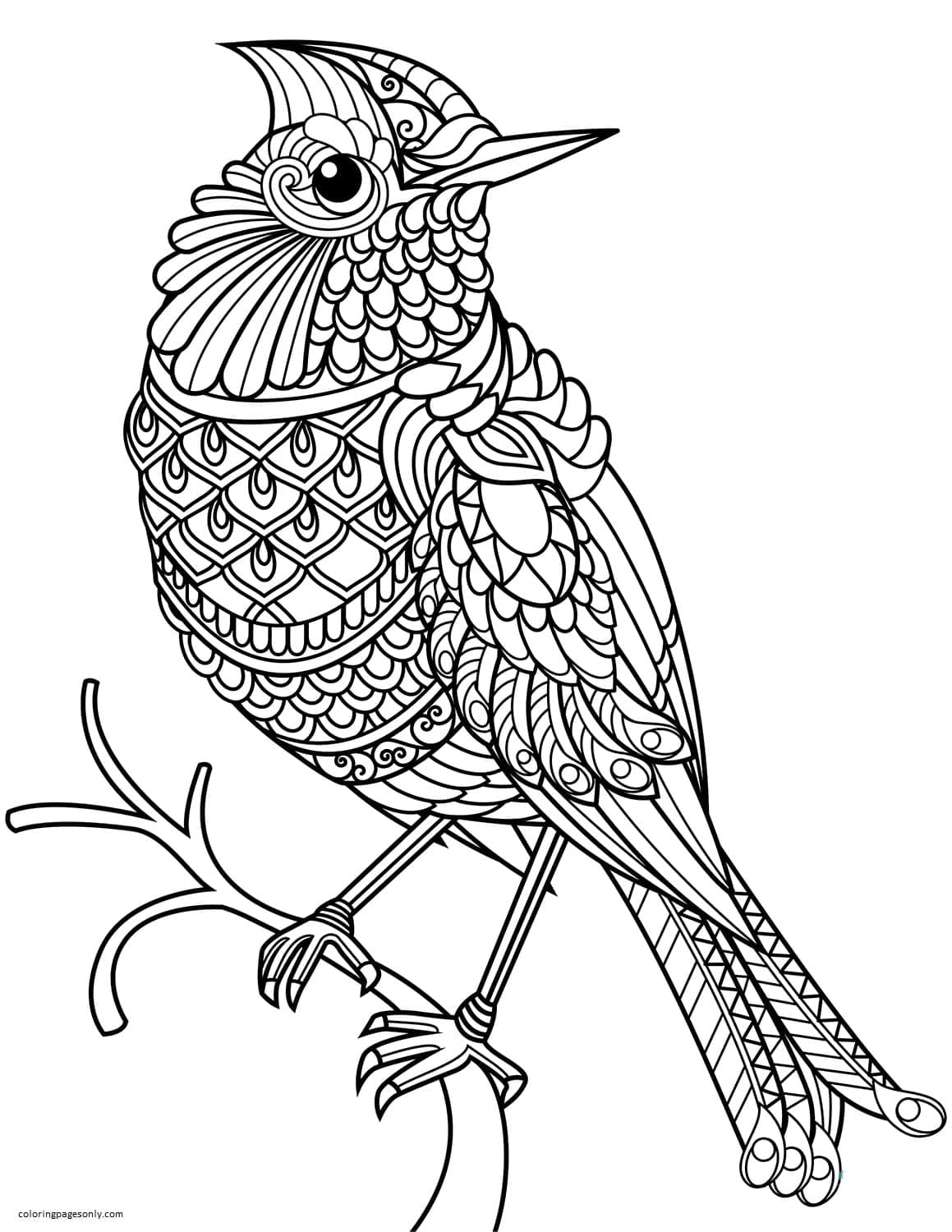 33 Stunning Northern Cardinal Coloring Pages Printable 26