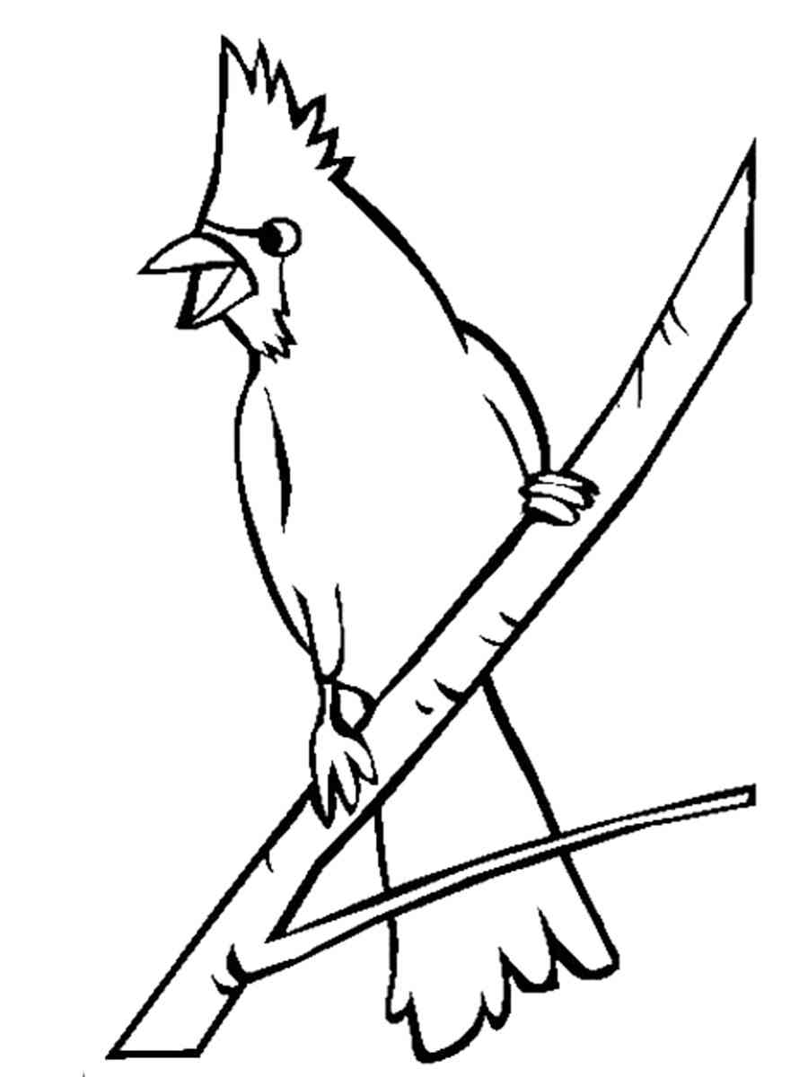 33 Stunning Northern Cardinal Coloring Pages Printable 29